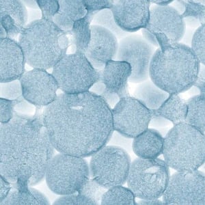 Collagen Refresh Ingredients